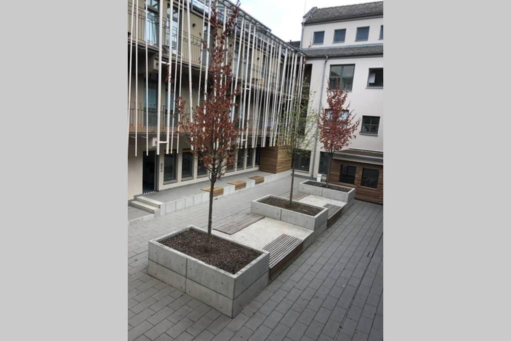 Central, Modern, Mit Grossem Balkon Checkin123 Wiesbaden Exterior photo